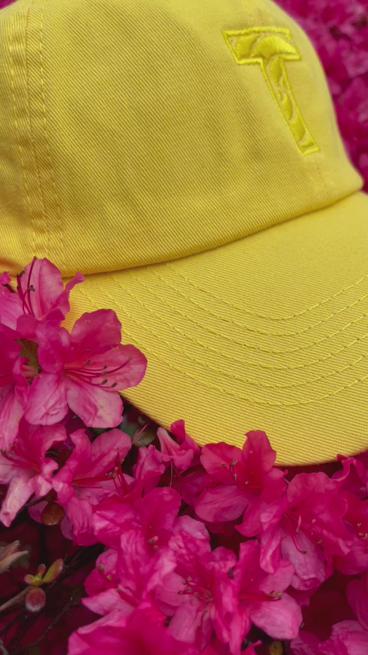 Spring Classic Dad Hats